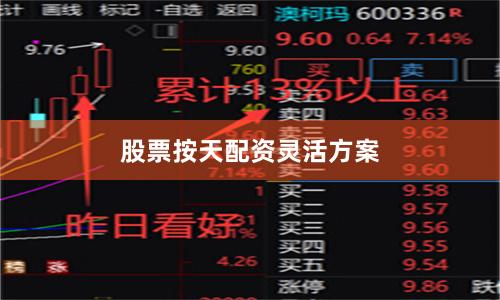 股票按天配资灵活方案