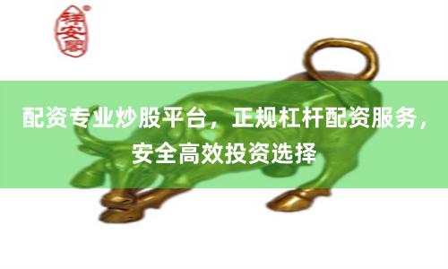 配资专业炒股平台，正规杠杆配资服务，安全高效投资选择