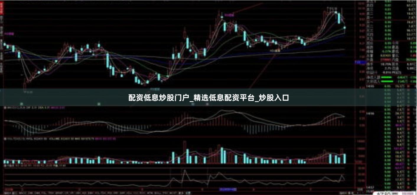 配资低息炒股门户_精选低息配资平台_炒股入口